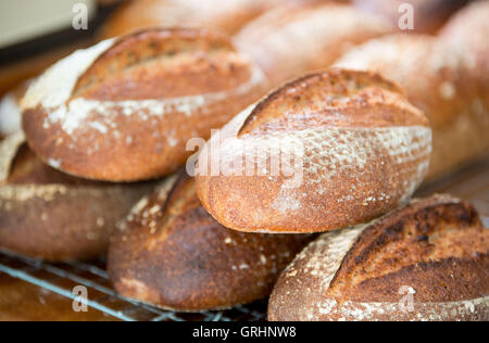 Pane appena sfornato pagnotte di pane. Foto Stock