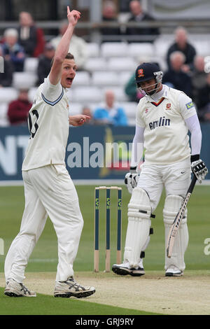 Alex Gidman del Gloucestershire appelli per il paletto di Alviro Petersen - Essex CCC vs Gloucestershire CCC - LV County Championship Division due Cricket presso la Ford County Ground, Chelmsford Essex - 05/04/12 Foto Stock