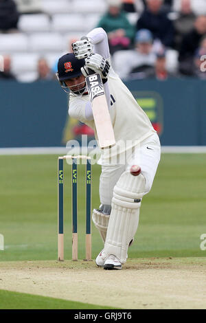 Alviro Petersen in azione di ovatta per Essex - Essex CCC vs Gloucestershire CCC - LV County Championship Division due Cricket presso la Ford County Ground, Chelmsford Essex - 05/04/12 Foto Stock