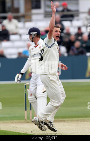 Alex Gidman del Gloucestershire appelli per il paletto di Tom Westley - Essex CCC vs Gloucestershire CCC - LV County Championship Division due Cricket presso la Ford County Ground, Chelmsford Essex - 05/04/12 Foto Stock