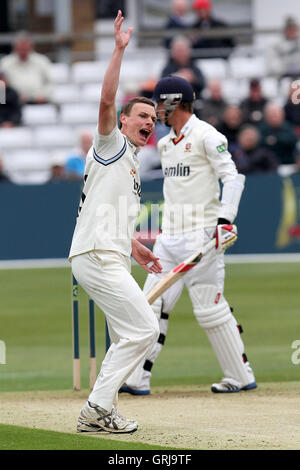 Alex Gidman del Gloucestershire appelli per il paletto di Tom Westley - Essex CCC vs Gloucestershire CCC - LV County Championship Division due Cricket presso la Ford County Ground, Chelmsford Essex - 05/04/12 Foto Stock