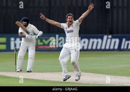 Un forte appello da Greg Smith di Essex per il paletto di Bilal Shafayat - Essex CCC vs Hampshire CCC - LV County Championship Division due Cricket presso la Ford County Ground, Chelmsford Essex - 19/07/12 Foto Stock