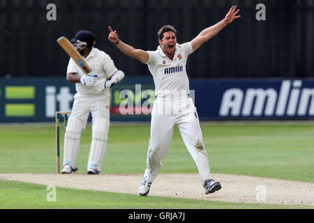 Un forte appello da Greg Smith di Essex per il paletto di Bilal Shafayat - Essex CCC vs Hampshire CCC - LV County Championship Division due Cricket presso la Ford County Ground, Chelmsford Essex - 19/07/12. Foto Stock