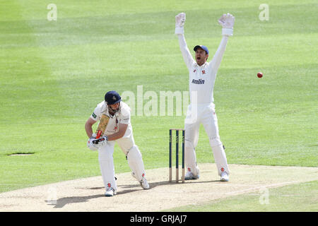 James promuovere ricorsi con successo per il paletto di James Tredwell, intrappolati lbw da Tom Westley - Essex CCC vs Kent CCC - LV County Championship Division due Cricket presso la Ford County Ground, Chelmsford Essex - 11/05/12Kent battitore Foto Stock