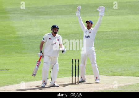 James promuovere ricorsi con successo per il paletto del Kent battitore James Tredwell, intrappolati lbw da Tom Westley - Essex CCC vs Kent CCC - LV County Championship Division due Cricket presso la Ford County Ground, Chelmsford Essex - 11/05/12 Foto Stock