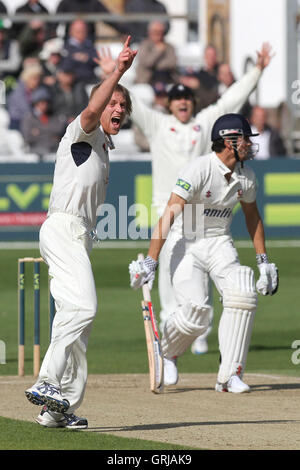 Mark Davies del Kent ricorsi con successo per il paletto di Alastair Cook, intrappolati lbw - Essex CCC vs Kent CCC - LV County Championship Division due Cricket presso la Ford County Ground, Chelmsford Essex - 11/05/12 Foto Stock