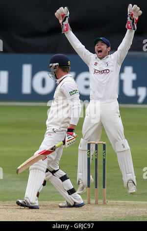 Andrew Hodd ricorsi con successo per il paletto di Essex battitore Tom Westley - Essex CCC vs Yorkshire CCC - LV County Championship Division due Cricket presso la Ford County Ground, Chelmsford Essex - 12/09/12 Foto Stock