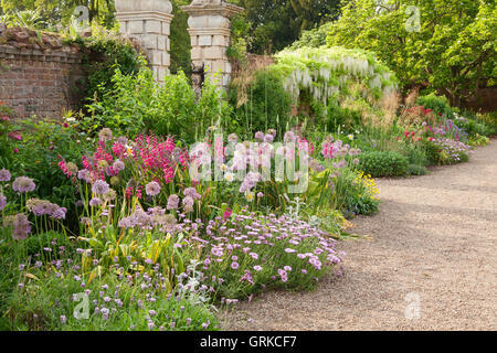 Il giardino a ovest frontiera. Il Glicine floribunda "Alba" - bianco glicine giapponese, Gladiolus byzantinus, Allium 'Globemaster' e Ost Foto Stock