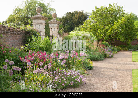 Il giardino a ovest frontiera. Il Glicine floribunda "Alba" - bianco glicine giapponese, Gladiolus byzantinus, Allium 'Globemaster' e Ost Foto Stock