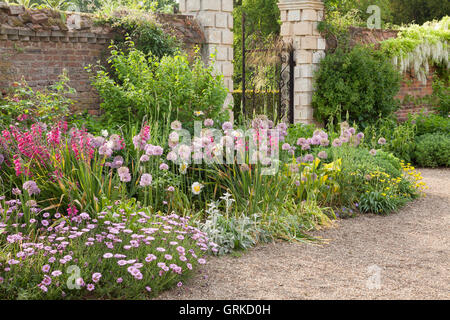 Il giardino a ovest frontiera. Il Glicine floribunda "Alba" - bianco glicine giapponese, Gladiolus byzantinus, Allium 'Globemaster' e Ost Foto Stock