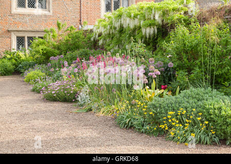 Il giardino a ovest frontiera. Il Glicine floribunda "Alba" - bianco glicine giapponese, Gladiolus byzantinus, Allium 'Globemaster' e Ost Foto Stock