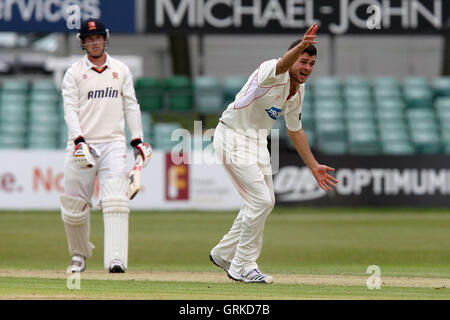 Nathan Buck di Leicestershire appelli per il paletto di Tom Westley - Leicestershire CCC vs Essex CCC - LV County Championship Division due Cricket di Grace Road, Leicester - 17/05/12 Foto Stock