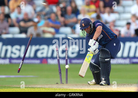 Contrassegnare Pettini di Essex è colpiti da Boyd Rankin - Essex Eagles vs Birmingham Bears - NatWest T20 Quarter-Final Blast Cricket presso l'Essex County Ground, Chelmsford Essex - 02/08/14 Foto Stock