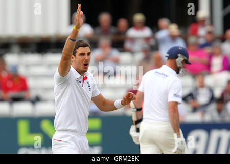 Steven Finn di Inghilterra appelli per il paletto di David Masters - Essex CCC vs Inghilterra - Sfida LV corrispondono all'Essex County Ground, Chelmsford - 01/07/13 Foto Stock