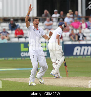 Steven Finn di Inghilterra appelli per il paletto di David Masters - Essex CCC vs Inghilterra - Sfida LV corrispondono all'Essex County Ground, Chelmsford - 01/07/13 Foto Stock