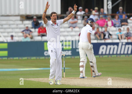 Steven Finn di Inghilterra appelli per il paletto di David Masters - Essex CCC vs Inghilterra - Sfida LV corrispondono all'Essex County Ground, Chelmsford - 01/07/13 Foto Stock