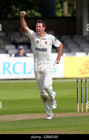 Gioia per David Masters di Essex come egli sostiene il paletto di Murray Goodwin - Essex CCC vs Glamorgan CCC - LV County Championship Division due Cricket presso l'Essex County Ground, Chelmsford Essex - 18/09/13 Foto Stock