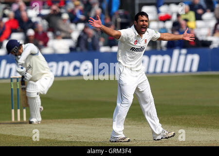 Ravi Bopara Essex di ricorsi con successo e rivendicazioni il paletto di Alex Gidman, intrappolati lbw - Essex CCC vs Gloucestershire CCC - LV County Championship Division due Cricket presso l'Essex County Ground, Chelmsford - 10/04/13 Foto Stock