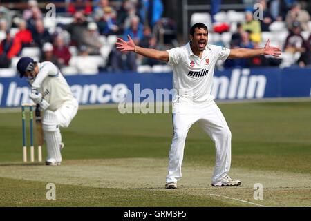 Ravi Bopara Essex di ricorsi con successo e rivendicazioni il paletto di Alex Gidman, intrappolati lbw - Essex CCC vs Gloucestershire CCC - LV County Championship Division due Cricket presso l'Essex County Ground, Chelmsford - 10/04/13 Foto Stock