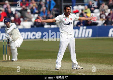 Ravi Bopara Essex di ricorsi con successo e rivendicazioni il paletto di Alex Gidman, intrappolati lbw - Essex CCC vs Gloucestershire CCC - LV County Championship Division due Cricket presso l'Essex County Ground, Chelmsford - 10/04/13 Foto Stock