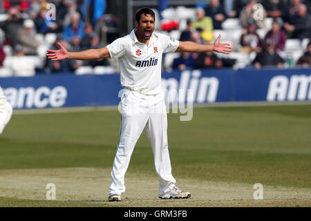 Ravi Bopara Essex di ricorsi con successo e rivendicazioni il paletto di Alex Gidman, intrappolati lbw - Essex CCC vs Gloucestershire CCC - LV County Championship Division due Cricket presso l'Essex County Ground, Chelmsford - 10/04/13 Foto Stock