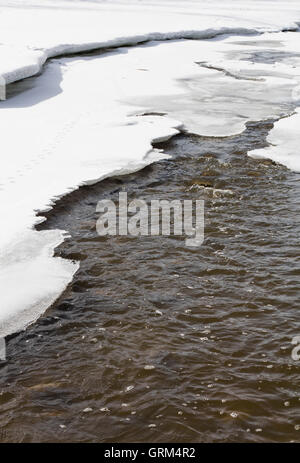 La molla runoff da neve di fusione aumenta il livello di acqua di torrenti. Runoff di acqua che scorre sulle pietre e sotto la neve e il ghiaccio. Foto Stock