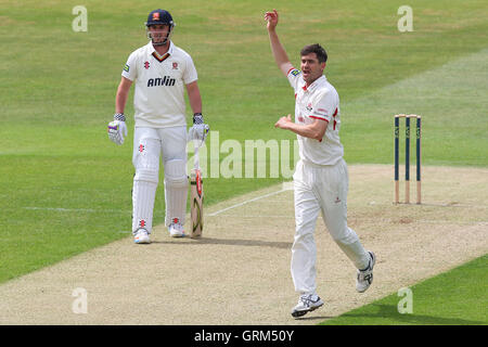 Kyle Hogg di Lancashire appelli per il paletto di Tom Westley - Essex CCC vs Lancashire CCC - LV County Championship Division due Cricket presso l'Essex County Ground, Chelmsford - 12/06/13 Foto Stock