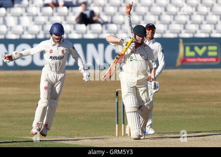 Delizia per James Foster di Essex (L) come egli prende una cattura di licenziare Niall O'Brien dal bowling di Greg Smith - Essex CCC vs Leicestershire CCC - LV County Championship Division due Cricket presso l'Essex County Ground, Chelmsford - 19/07/13 Foto Stock