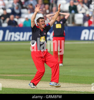 Un grande appello da Stephen Parry di Lancashire - Essex Eagles vs Lancashire fulmini - Banca dello Yorkshire YB40 Cricket presso l'Essex County Ground, Chelmsford - 16/06/13 Foto Stock