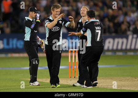 Jason Roy del Surrey celebra il paletto di Tim Phillips - Essex Eagles vs Surrey Lions - Amici vita T20 Cricket presso l'Essex County Ground,Chelmsford - 31/07/13 Foto Stock