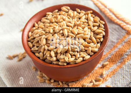 Frumento semi da agricoltura biologica (grani) nella coppa sopra rustico texture di legno vicino, il fuoco selettivo Foto Stock