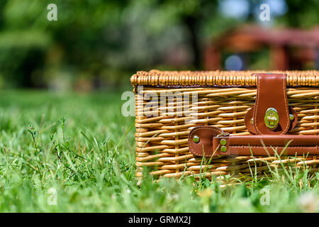 Cesto picnic ostacolare con impugnatura in pelle in erba verde Foto Stock