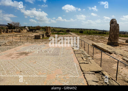 Gli antichi mosaici e le colonne sono le parti conservate del santuario di Afrodite in Kouklia, Cipro. Foto Stock