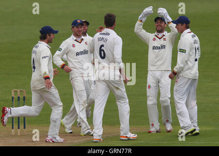 Essex giocatori festeggiare dopo Reece Topley precedenti il paletto di Murray Goodwin - Glamorgan CCC vs Essex CCC - LV County Championship Division due Cricket al Swalec Stadium di Cardiff, Galles - 17/05/13 Foto Stock