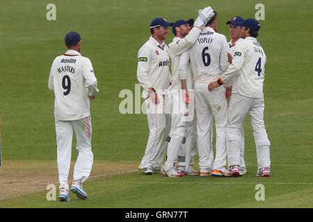 Essex giocatori festeggiare dopo Reece Topley precedenti il paletto di Murray Goodwin - Glamorgan CCC vs Essex CCC - LV County Championship Division due Cricket al Swalec Stadium di Cardiff, Galles - 17/05/13 Foto Stock