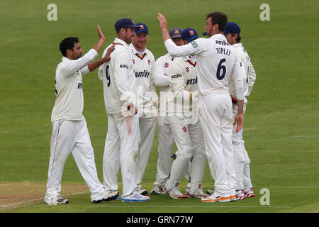 Essex giocatori festeggiare dopo Reece Topley precedenti il paletto di Murray Goodwin - Glamorgan CCC vs Essex CCC - LV County Championship Division due Cricket al Swalec Stadium di Cardiff, Galles - 17/05/13 Foto Stock