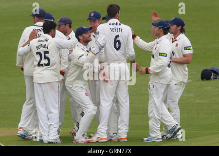 Essex giocatori festeggiare dopo Reece Topley precedenti il paletto di Murray Goodwin - Glamorgan CCC vs Essex CCC - LV County Championship Division due Cricket al Swalec Stadium di Cardiff, Galles - 17/05/13 Foto Stock