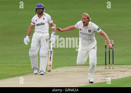 Mark Davies del Kent appelli per il paletto di Gautam Gambhir come Greg Smith si affaccia su - Kent CCC vs Essex CCC - LV County Championship Division due Cricket presso la massa di Spitfire, St Lawrence, Canterbury Kent - 11/09/13 Foto Stock