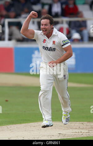 Graham Napier di Essex celebra tenendo il paletto di Brendan Nash - Kent CCC vs Essex CCC - LV County Championship Division due Cricket presso la massa di Spitfire, St Lawrence, Canterbury Kent - 12/09/13 Foto Stock