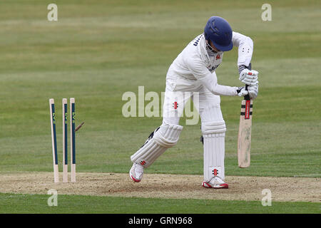 James Foster di Essex è colpiti da Steven Crook - Northamptonshire CCC vs Essex CCC - LV County Championship Division due Cricket al County Ground, Northampton - 17/04/13 Foto Stock