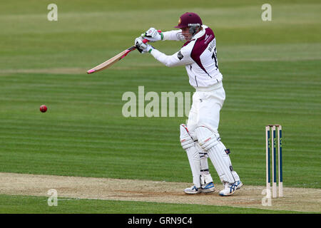 David Willey in azione di ovatta per Northants - Northamptonshire CCC vs Essex CCC - LV County Championship Division due Cricket al County Ground, Northampton - 18/04/13 Foto Stock