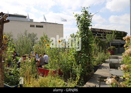 Per coloro che godono di un 'pop-up' giardino costruito sul calcestruzzo con terrazza sul tetto al di sopra del Queen Elizabeth Hall a Londra il South Bank. Foto Stock