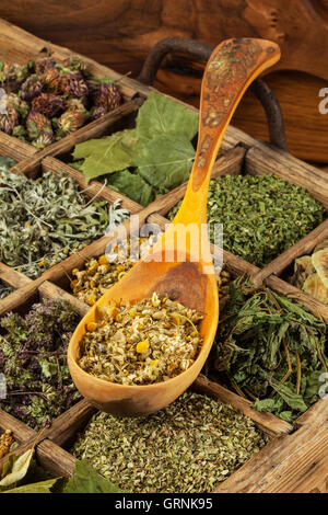 Un assortimento di secchi Erbe mediche il tè. Foto Stock