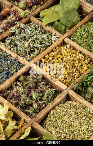 Un assortimento di secchi Erbe mediche il tè. Foto Stock