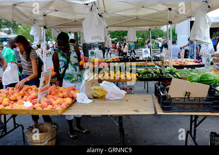 La verdura e la frutta in vendita in Union Square Green Market.Manhattan,New York City,USA Foto Stock