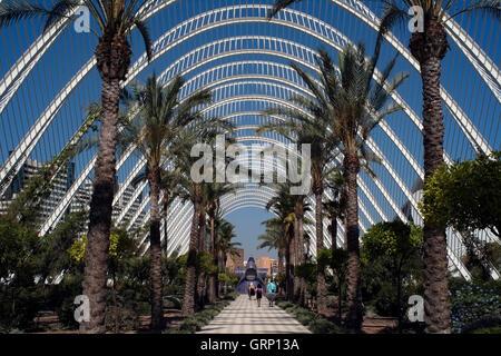 Edifici della Città delle Arti e delle Scienze di Valencia sono visti, in Spagna il 2 settembre 2016. Copyright fotografia John Voos Foto Stock