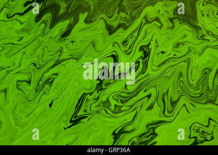 Le alghe rende una fantasia modello astratto sulla superficie di uno stagno Foto Stock