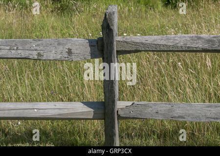 Sezioni di un vecchio legno stagionato split cancellata. Foto Stock