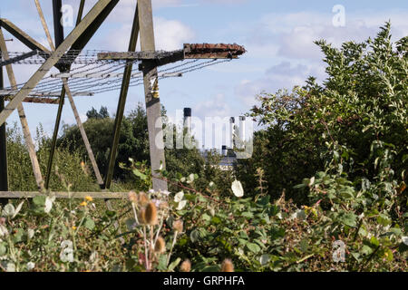 Leybourne Lakes Country Park, un ex sabbia e ghiaia che lavorano in Kent, Inghilterra, Regno Unito ed ora una rigenerata sito brownfield Foto Stock