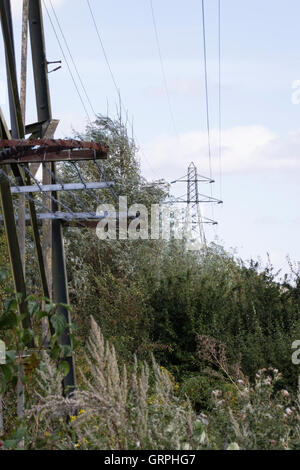 Leybourne Lakes Country Park, un ex sabbia e ghiaia che lavorano in Kent, Inghilterra, Regno Unito ed ora una rigenerata sito brownfield Foto Stock